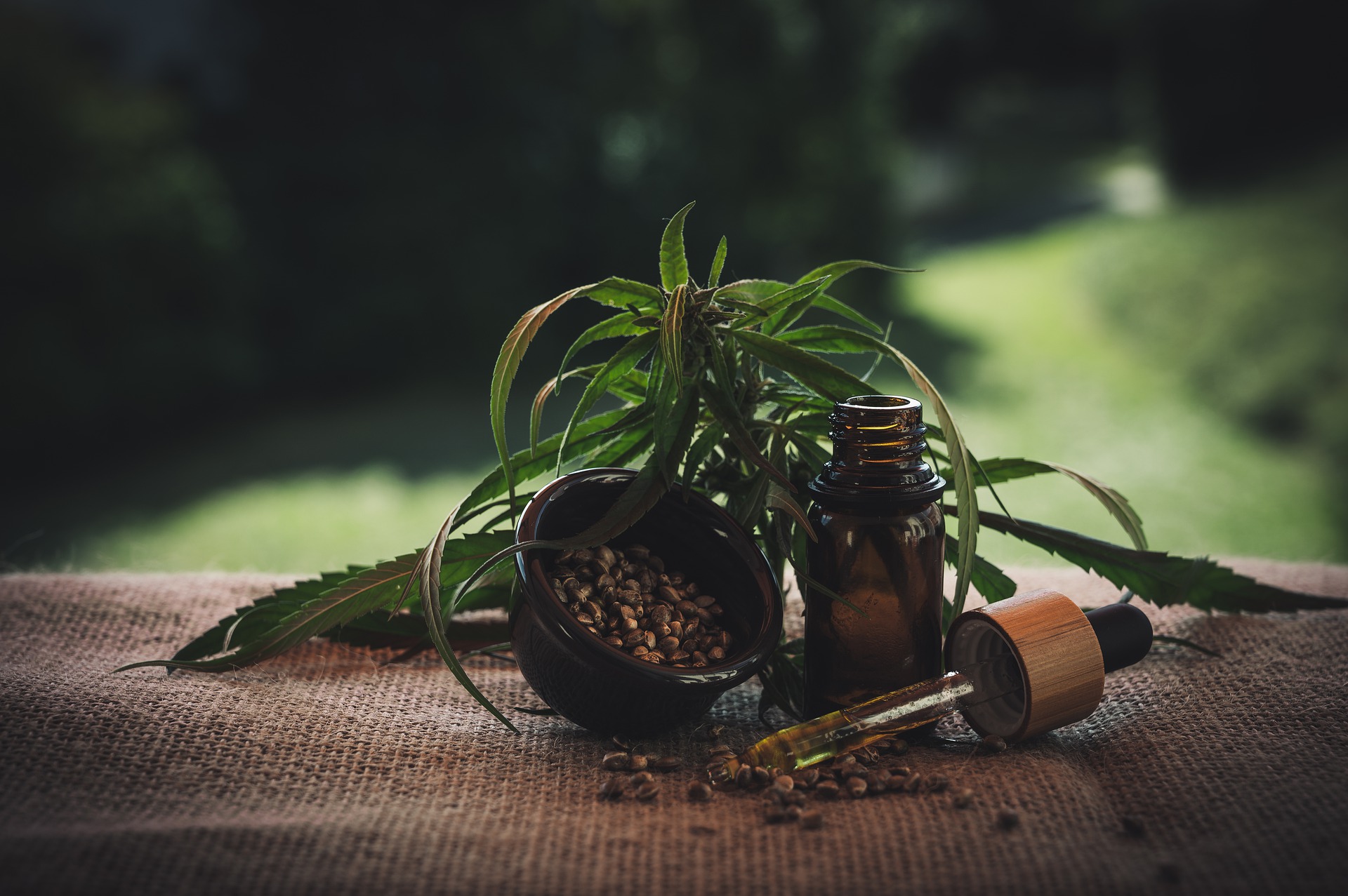 What You Need to Know Before Using CBD Oil?