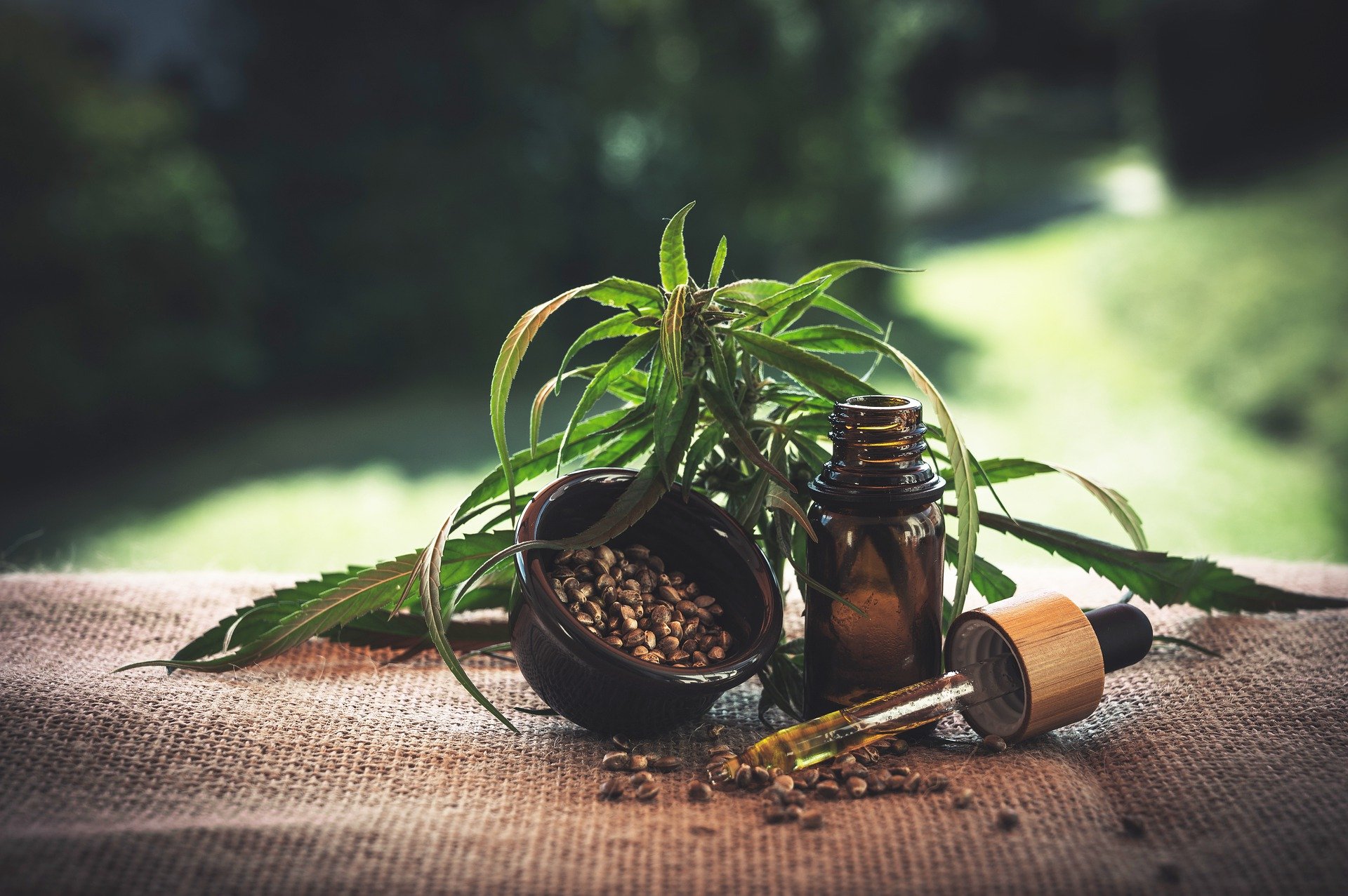 All about CBD –  What it is, its Forms, Working, Benefits and More