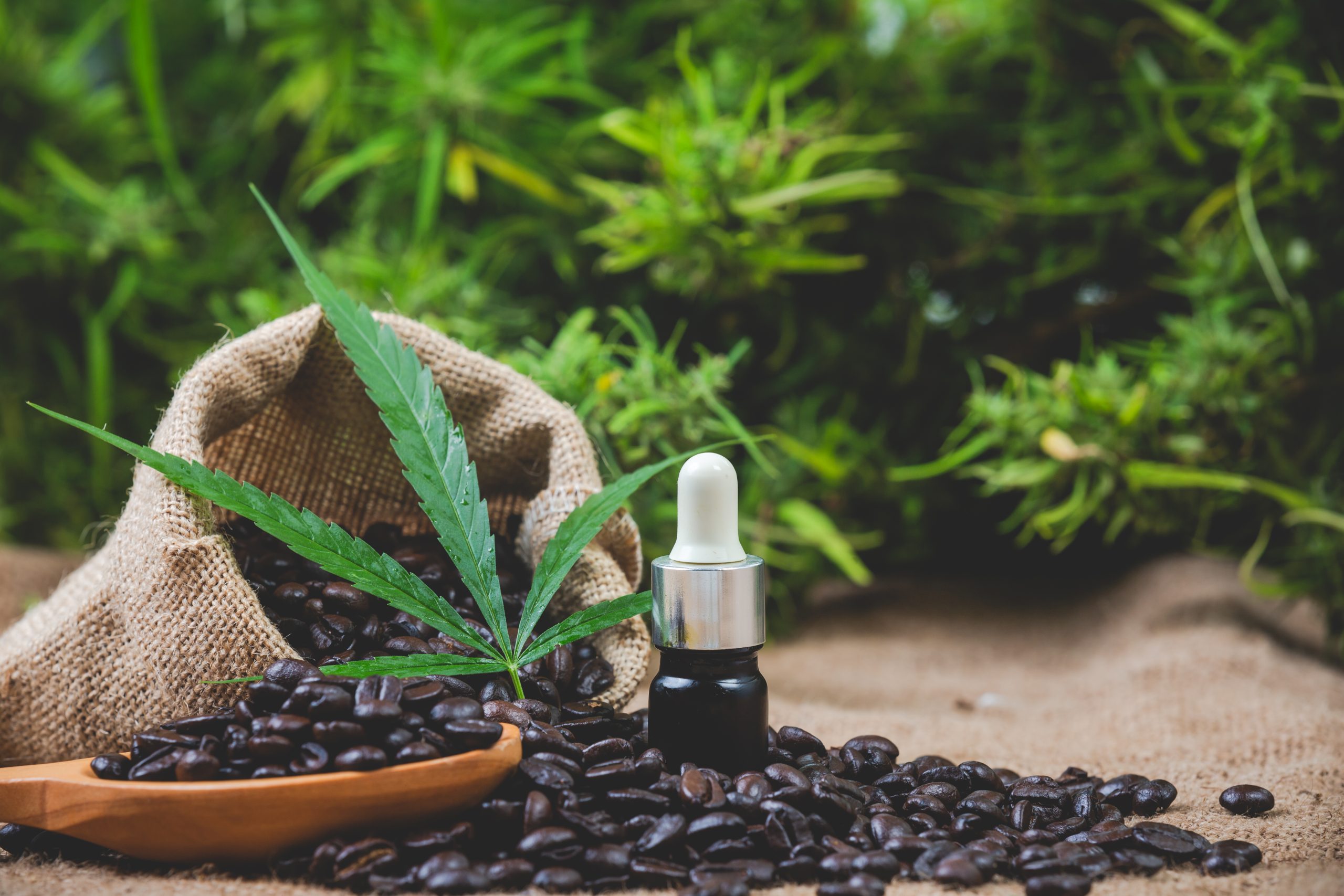 Everything You Need to Know About the CBD