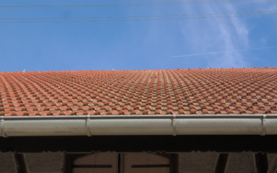 What Homeowners Should Know About Gutter Helmet-Style Gutter Protection