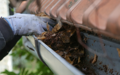 Thinking About Aluminum Gutter Guards? Here’s What Homeowners Should Know
