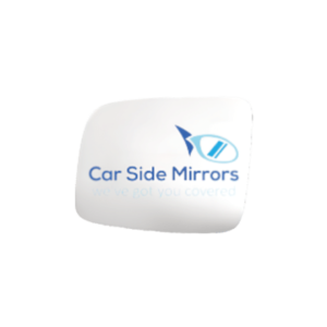 Driver Side Mirror Repair
